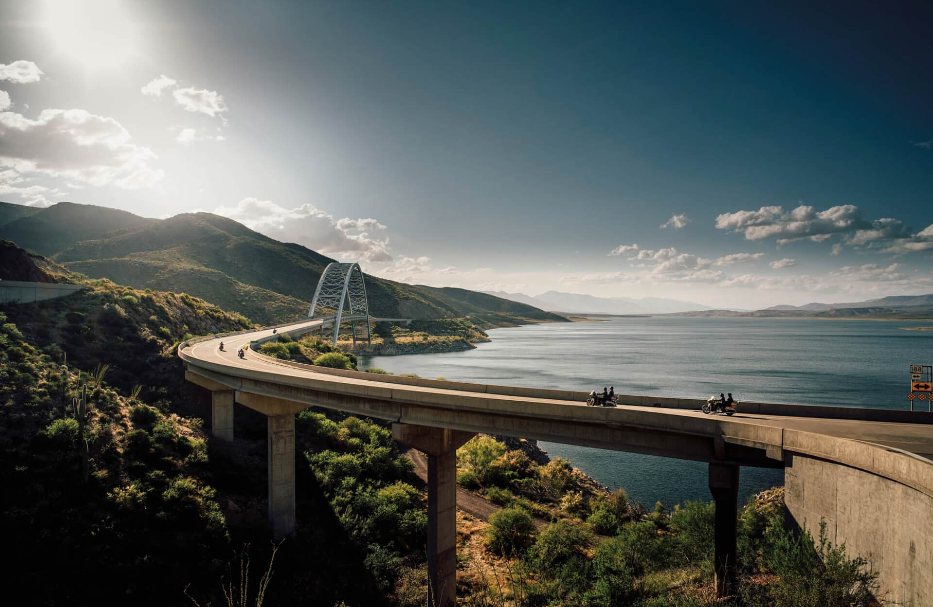 تطوير المواقع